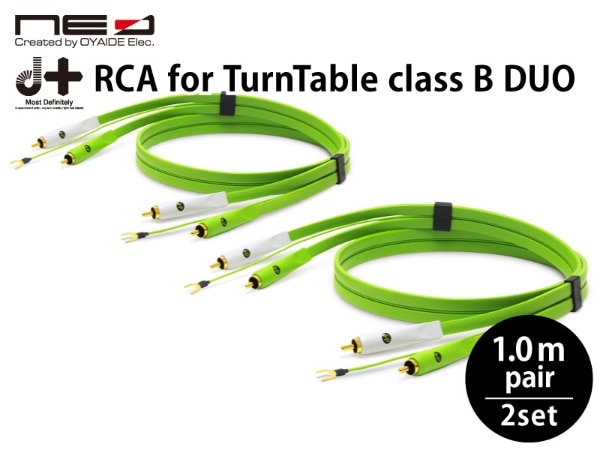 ^[e[upRCAP[u d+ RCA for TurnTable classB DUO