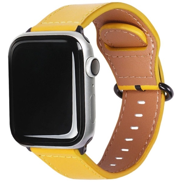 Apple Watch 44mm/42mmp GENUINE LEATHER STRAP EGARDENiGK[fj CG[ EGD20586AW