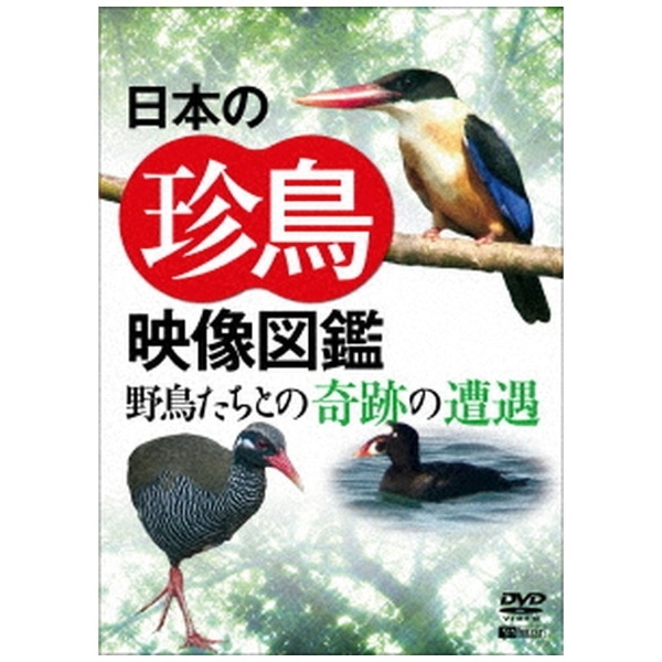 ｼﾝﾌｫﾚｽﾄDVD日本の珍鳥映像図鑑野鳥たちとの奇跡の遭遇【DVD】 【代金引換配送不可】