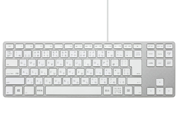 L[{[h USB-Anu Wired Aluminum Tenkeyless keyboard for PC(Windows11Ή) Vo[ FK308PCS-JP [L /USB]