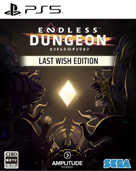 ENDLESS Dungeon Last Wish EditionyPS5z yzsz