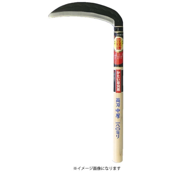 特大 良品 良形 佳い 良株 ハイノキ 株立 57 樹高2.2m位 高級