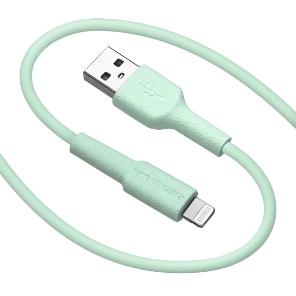 USB A to Lightning cable 炩 1.5m CgO[ R15CAAL2A02LGR