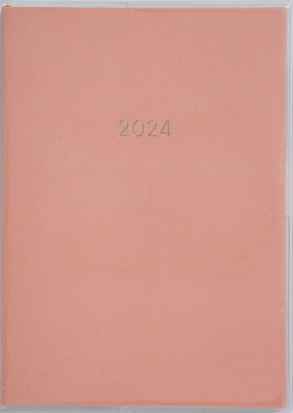 2024N ~AN[6 蒠 [}X[/1/jn܂] No.510 sN