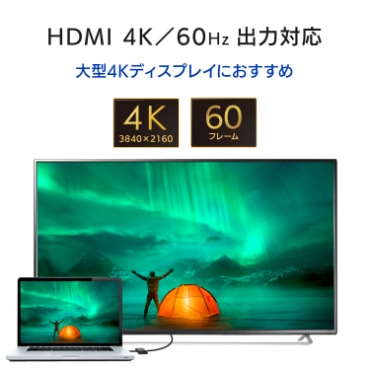 HDMI 4K^60Hz o͑Ή