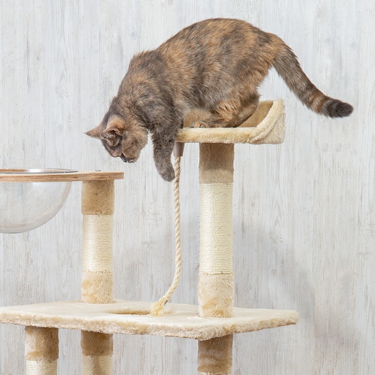 気質アップ】 NEWキャットタワー 猫レーザー ポインター付 | artfive.co.jp