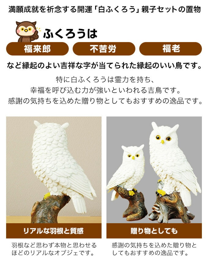 フクロウと白星のオリビア 羽織