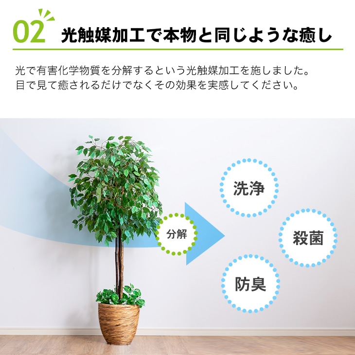 光触媒　人工観葉植物　フェイクグリーン　ベンジャミンダブル 1.8m