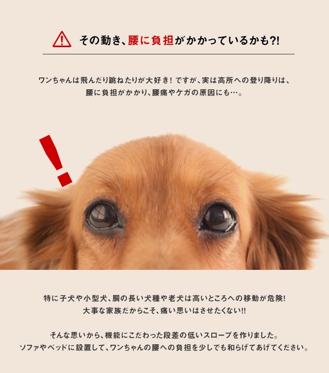 小型犬用スロープ 犬 階段 ステップ ドッグステップ ドッグスロープ ペットステップ ペットスロープ 段差 パテラ 予防 犬用ステップ 送料無料 Liveit トップページ Jre Pointが 貯まる 使える Jre Mall