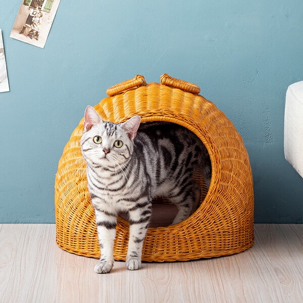 猫 ベッド ラタン ちぐら ドーム キャットハウス かわいい かまくら型 猫ちぐら ウレタンクッション付き 送料無料