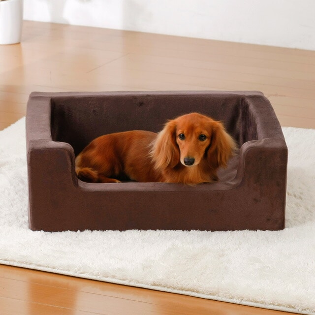 高反発ペットベッド ボックス型 カドラータイプ Mサイズ 犬 ベッド 送料無料