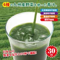 青汁 4種の九州産野菜青汁 30包 送料無料
