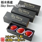 y݁zyWNFzyoC[ZNgIzȖ،Y Sky Berry 3piece (XJCx[3ϔ×3Zbg) | EEkCzs / ws / ̂