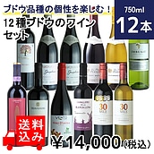 【送料込み】ブドウ品種の個性を楽しむ！12種ブドウのワインセット 750ml×12本 【DB】