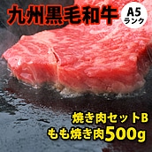 九州黒毛和牛 A5ランク 焼き肉セット 【B】 500g 【S】