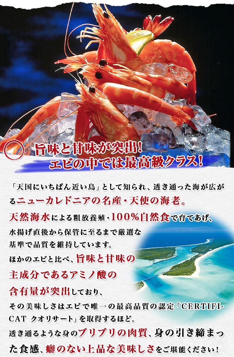 天使の海老 1kg 40 50尾入 送料無料 海老 えび エビ 生食用 刺身 送料無料 冷凍便 お取り寄せグルメ 食品 備蓄 ギフト 食の達人お取り寄せグルメ Jre Mall