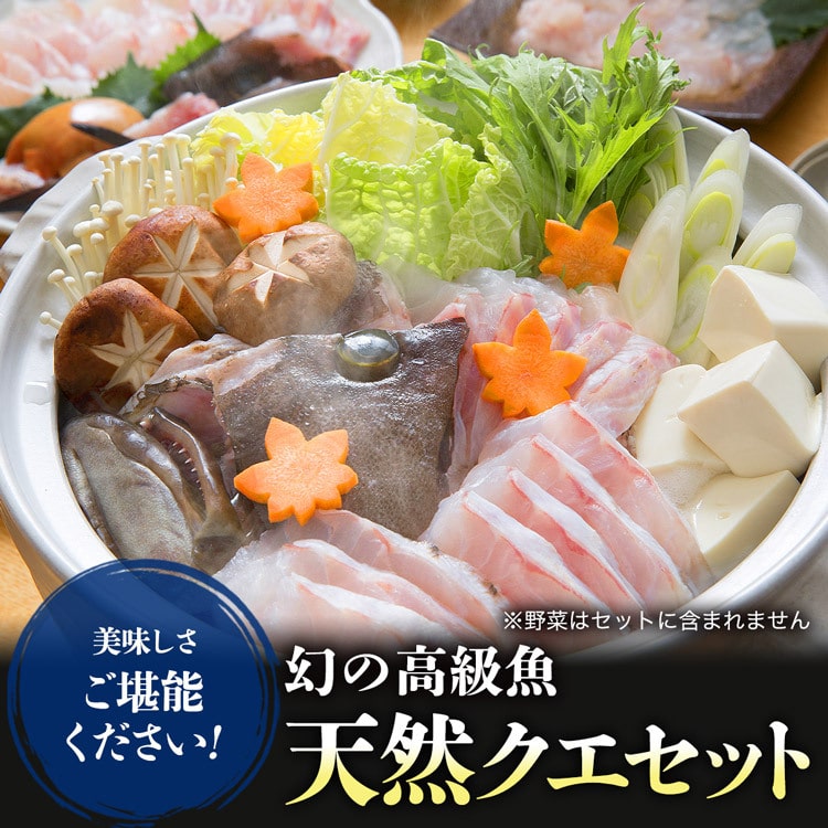 クエ 天然 クエ鍋 刺身 セット 2 3人前 超希少天然クエ 送料無料 お造り 国産 冷凍便 鍋 唐揚げ 雑炊 国産 お取り寄せグルメ 食品 備蓄 ギフト 食の達人お取り寄せグルメ Jre Mall