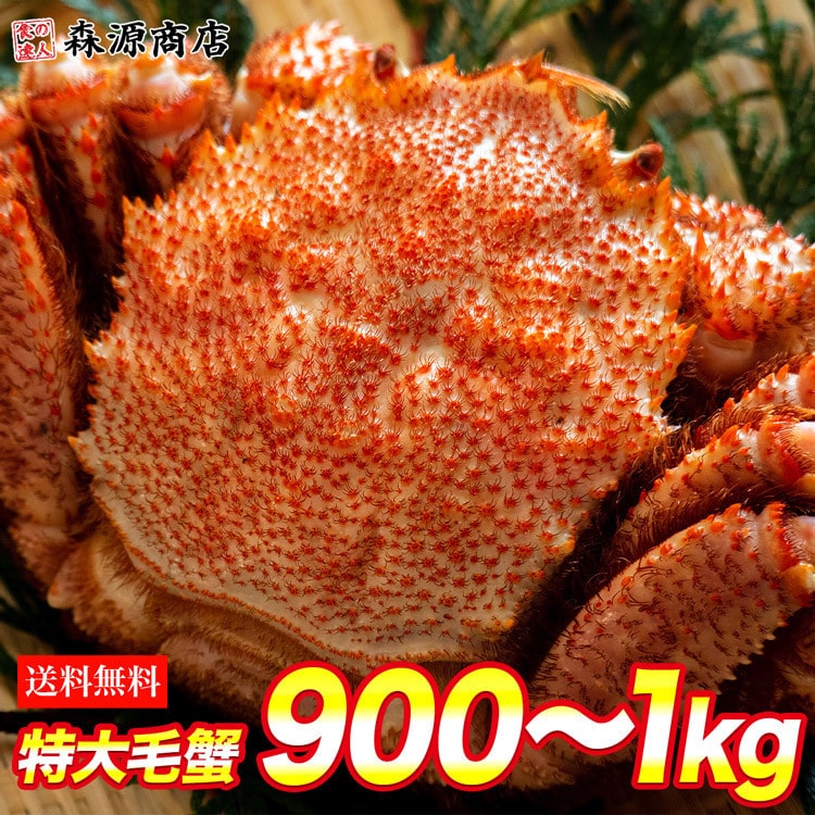 毛ガニ 超特大1尾 約1kg 毛蟹 ロシア産 けがに ケガニ 毛がに かに カニ ギフト 食の達人お取り寄せグルメ Jre Mall
