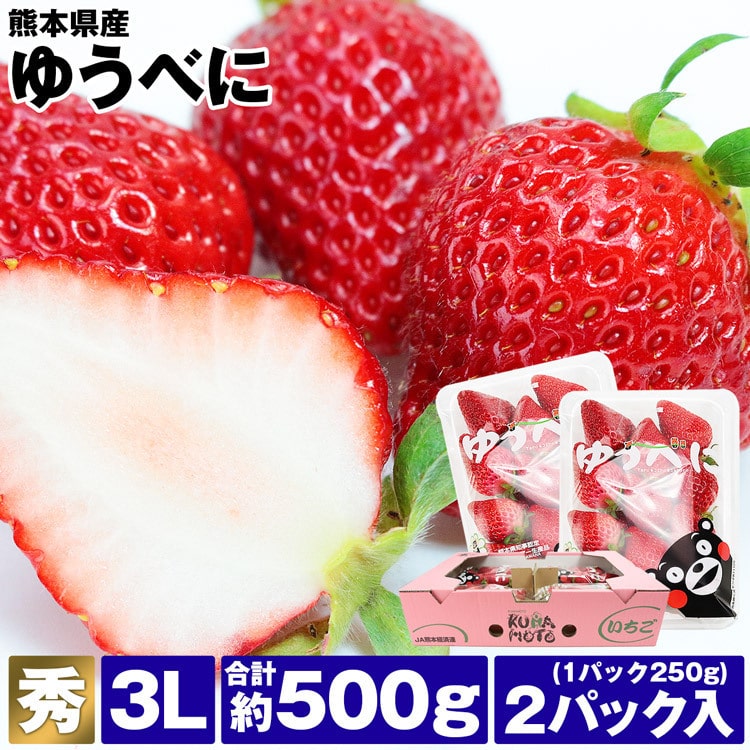 ゆうべに いちご 熊本県産 2パック 約500g (1パック約250g) 秀品 3Lサイズ イチゴ 苺 冷蔵便 同梱不可 指定日不可
