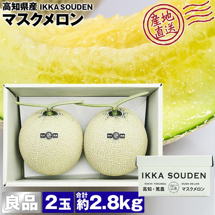 わんわん様専用 2ケースセット 静岡 アールスメロン 【公式通販】