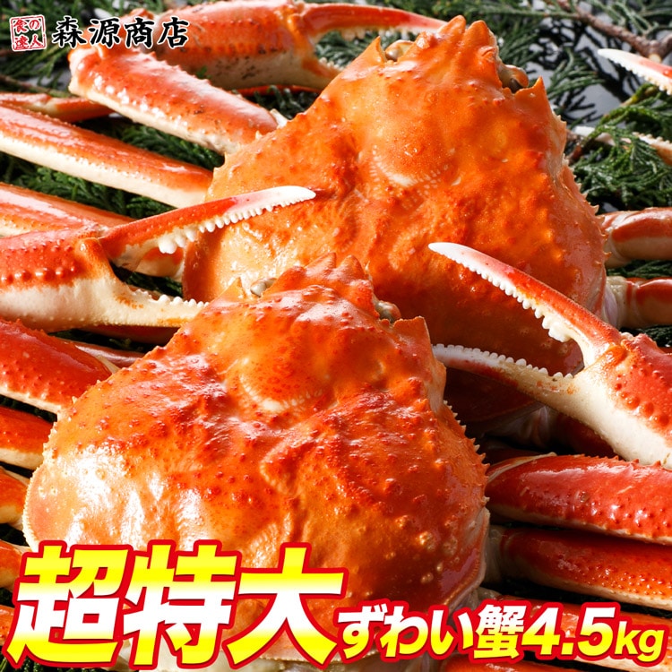 超特大 姿ずわい蟹 4.5kg 5尾 カニ かに ズワイガニ 冷凍便 ギフト