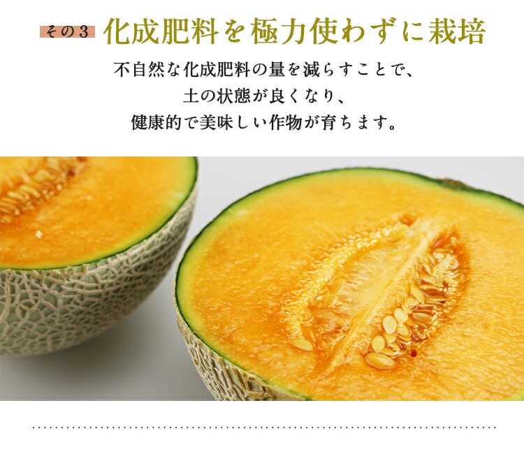 メロン ギフト 1玉 3L 秀品 富良野 北海道 鳳凰メロン 赤肉 メロン ギフト 1玉 3L 秀品 富良野 北海道 鳳凰メロン 赤肉