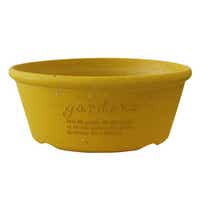 プランター エコプランター浅型 直径30cm 古紙入り （ 植木鉢 プラントポット 植物用ポット 花器 ポット プラスチック 平鉢 浅鉢 丸