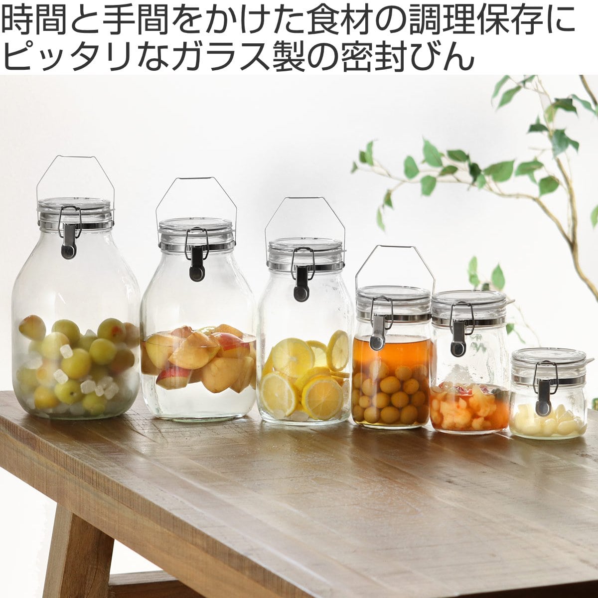 果実酒びん 3L 取手付密封びん セラーメイト （ 日本製 ガラス 密閉