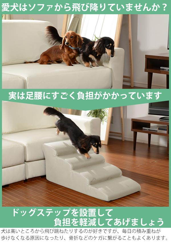 最安価格(税込) 犬用スロープ スロープ アイボリー weJ6Y-m36634864977