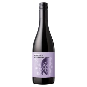 rR[Y AC smEm[ t TUEtX 
BecauseCIfm Pinot Noir from Southern France m퉷ny4`5cƓȓɏoׁz ԃC tX qA