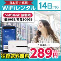 WiFi^ 14v Softbank (110GB/300GB)