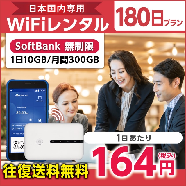 WiFi^ 180v Softbank (110GB/300GB)