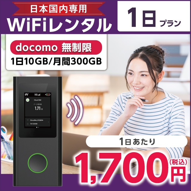 WiFi^ 1v docomo (110GB/300GB)