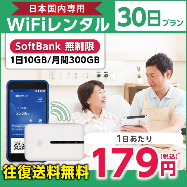WiFi^ 30v Softbank (110GB/300GB)