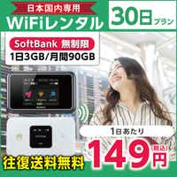 WiFi^ 30v Softbank (13GB/90GB)
