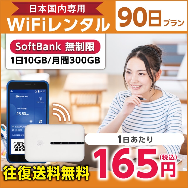 WiFi^ 90v Softbank (110GB/300GB)