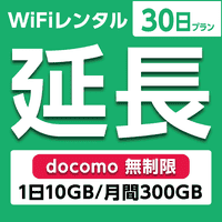 ypzWiFi^ 30v docomo (110GB/300GB)