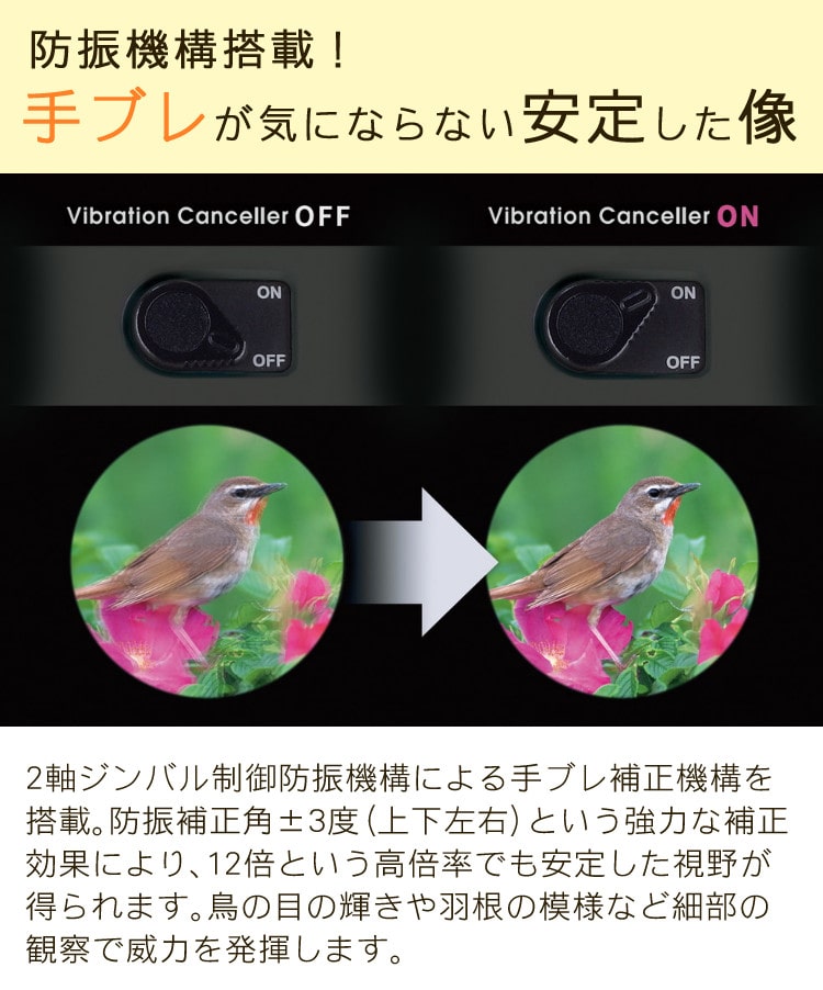Vixen 12倍防振双眼鏡 ATERA II H12×30 チャコール-