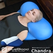  BlueBlood u\ubh Chandra `h